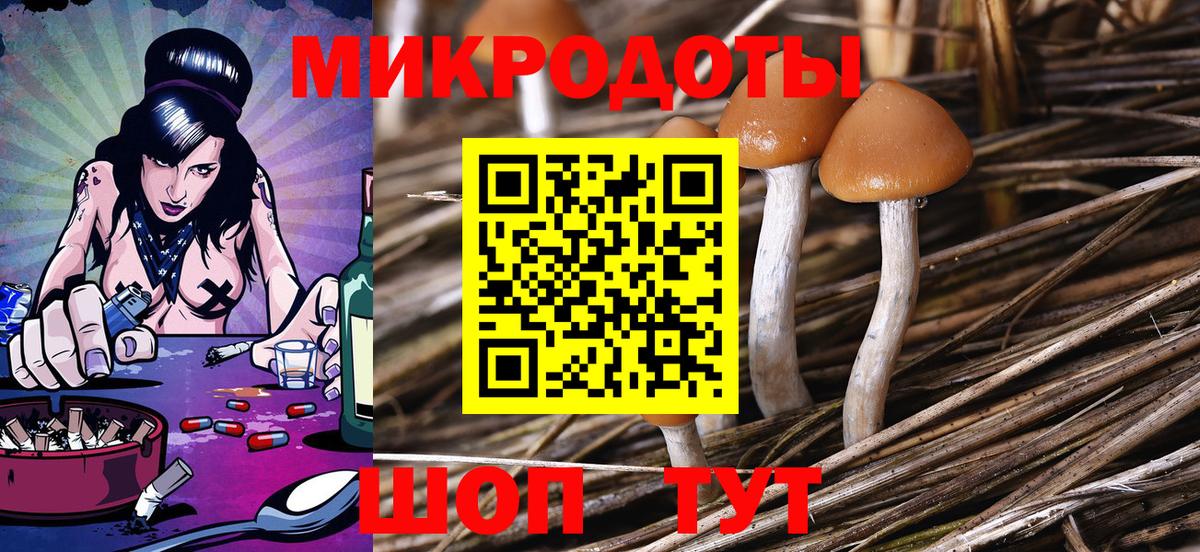 Соль-Илецк  Псилоцибиновые грибы GOLDEN TEACHER  Вход с VPN 